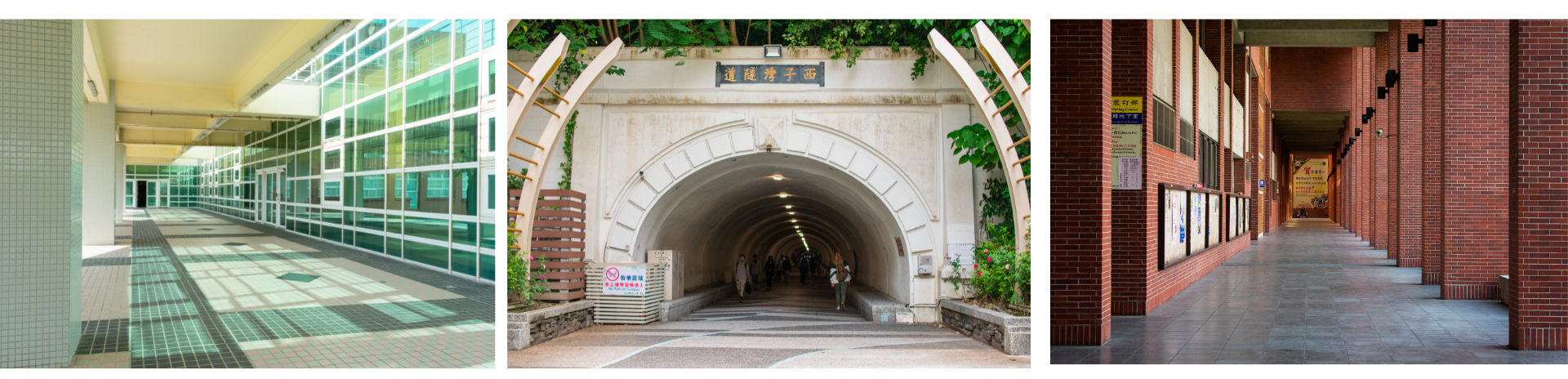 中山大學