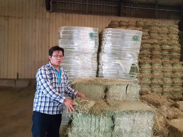 <西灣光華>化腐朽為神奇 用科技傳承好味道 崙頂牧場郭信宏場長圖片