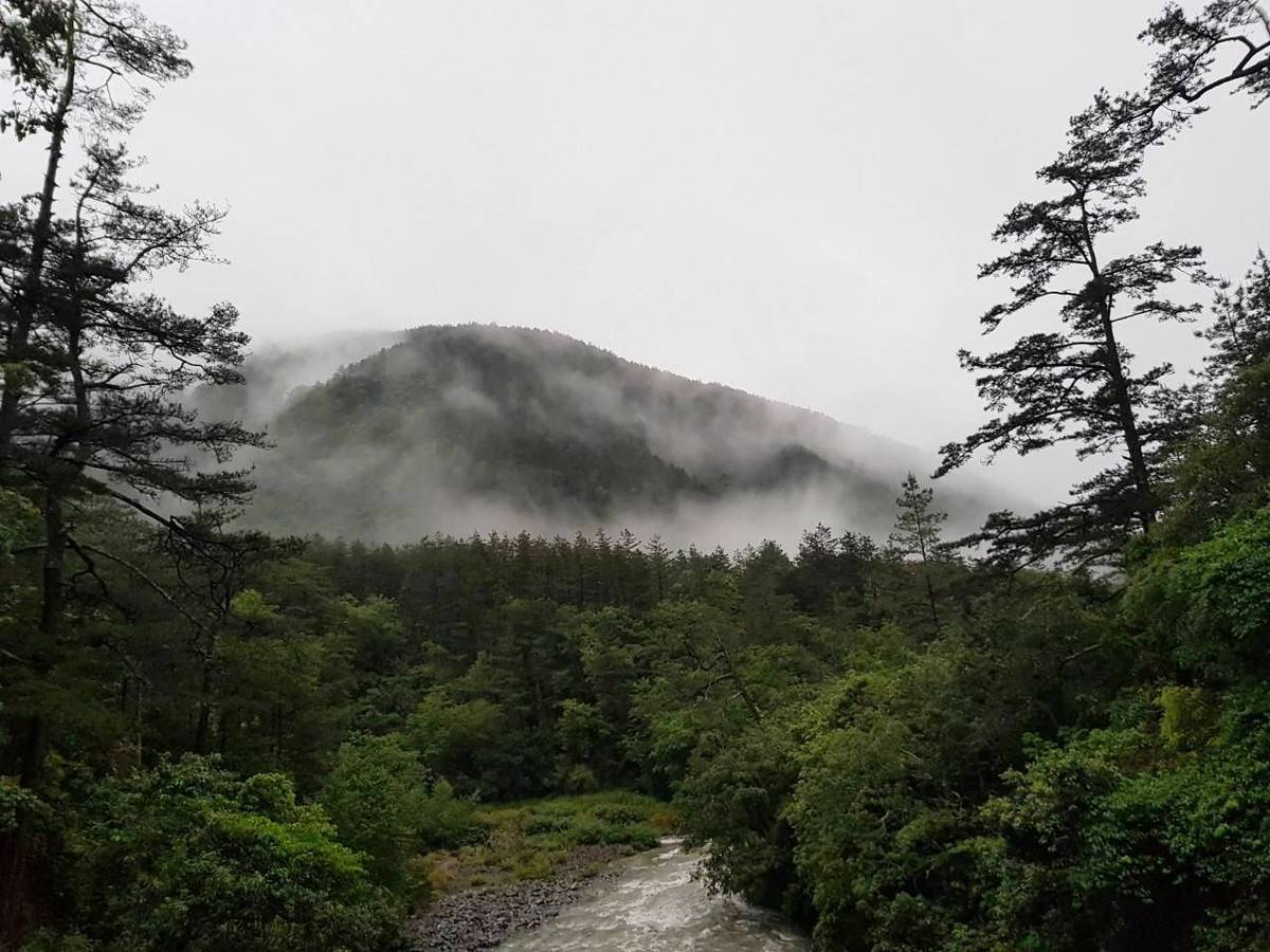 雨中的武陵雲霧繚繞圖片