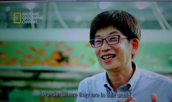 芝林吸睛觀賞魚 林育禾學長獨步全球圖片