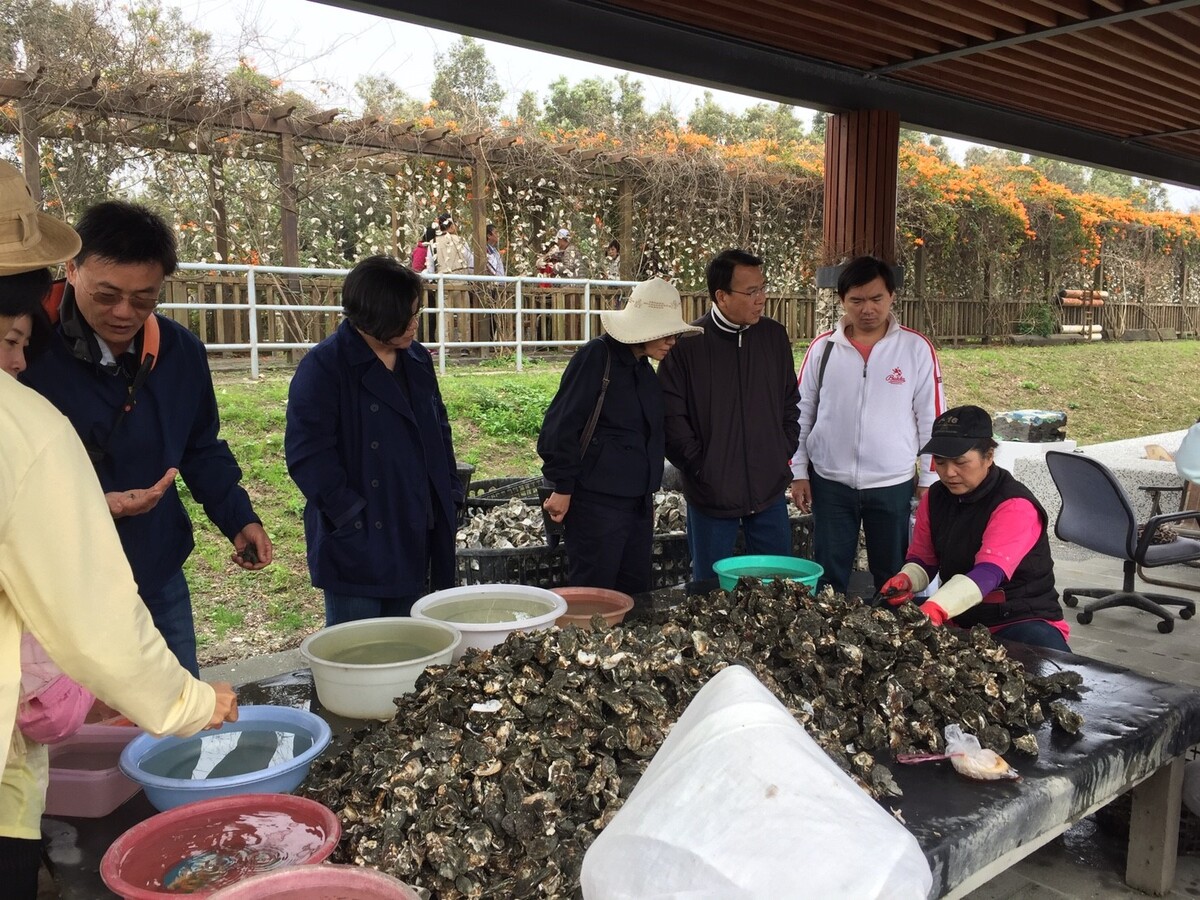 <地區校友會>台南市校友會新春踏青遊嘉義鰲鼓溼地生態圖片